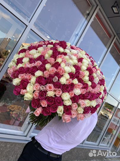 Розы 201 роза