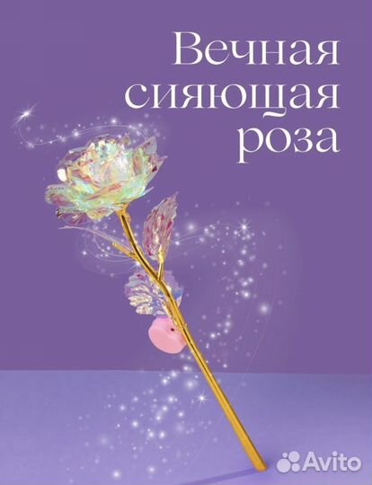 Вечная сияющая роза