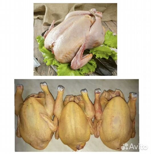 Домашние куры бройлеры тушки мясо