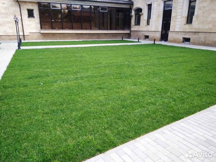 Рулонный газон напрямую от производителя