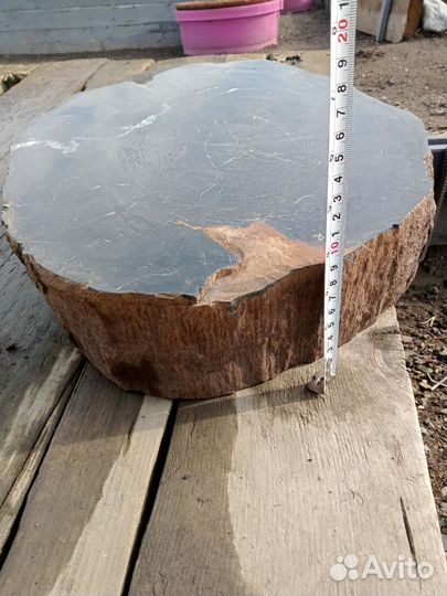 Окаменелое дерево