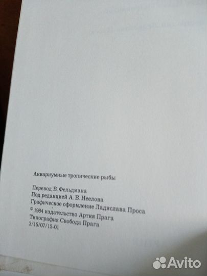 Аквариумные тропические рыбы