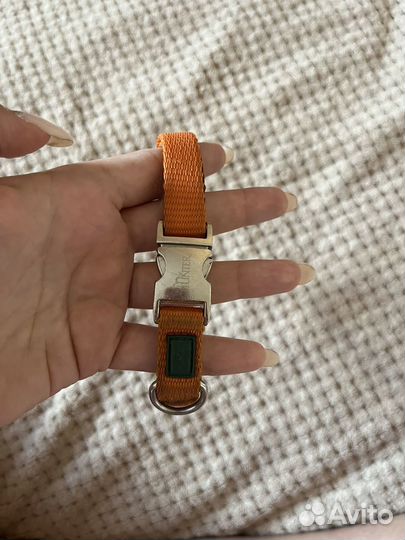 Ошейник hunter