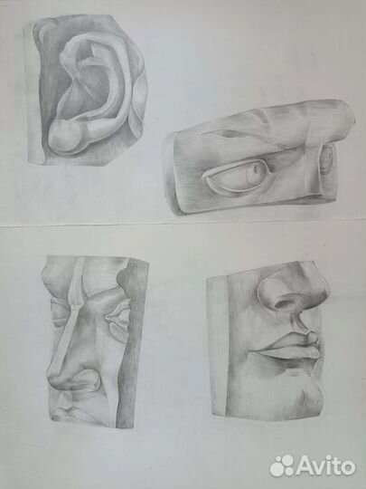 Академический рисунок. Части лица Давида