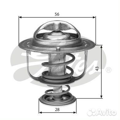 TH31388G1 Термостат