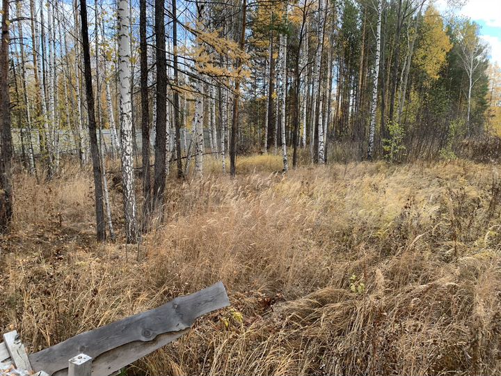 Участок 10 сот. (СНТ, ДНП)