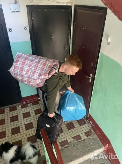 Грузоперевозки газель