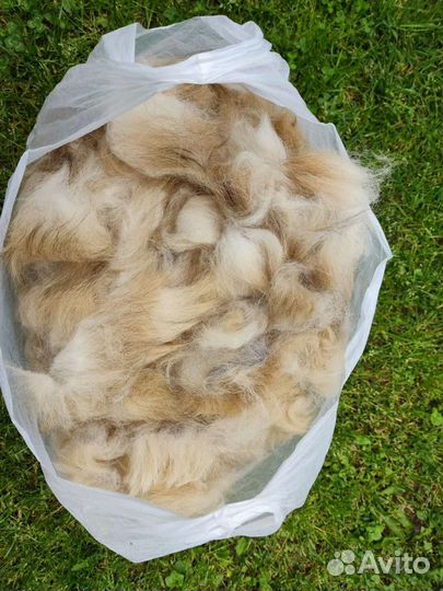 Пух кавказской овчарки