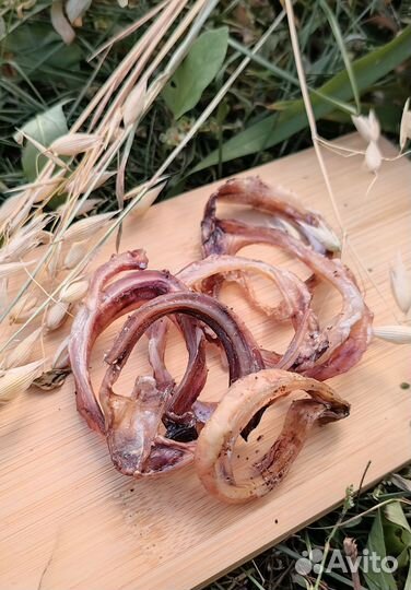 Лакомства для собак