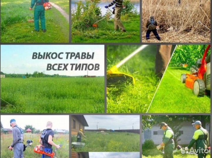 Покос травы триммером