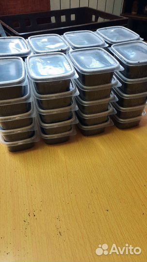 Черви дендробена