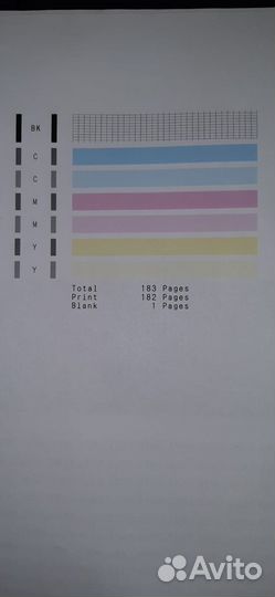 Цветное струйное мфу Canon pixma G2415 с снпч