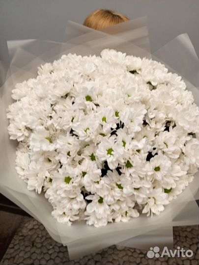 101 Роза букеты Цветы 51 доставка 24/7