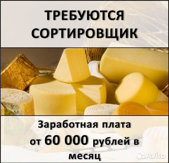 Сортировщик/Сортировщица