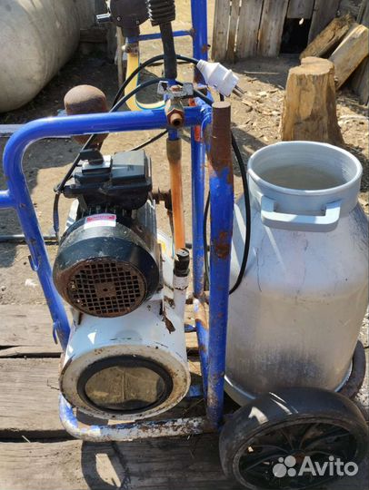 Доильный аппарат для коров