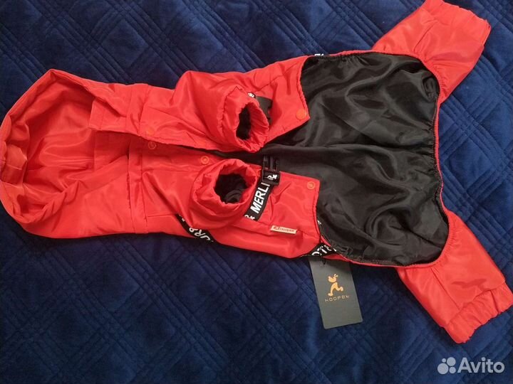 Дождевик для маленькой собаки