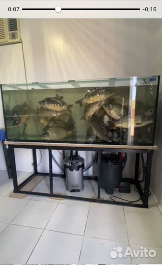 Чиллер для охлаждения воды