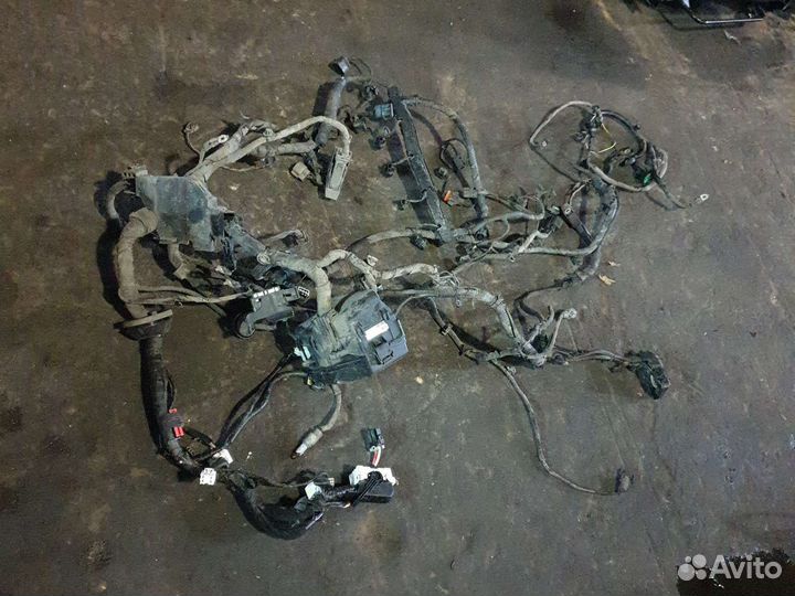 Проводка двигателя киа рио 3 1.4 АКПП