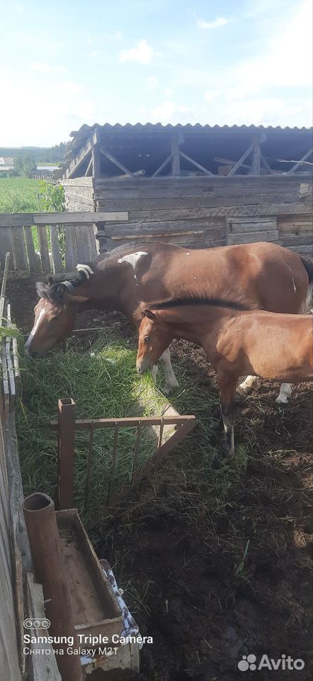 Секс знакомства в Железногорске. Частные объявления бесплатно.