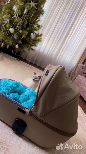 Коляска anex sport e type 2 в 1