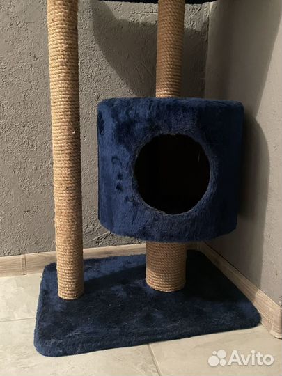 Когтеточка