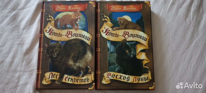 Детский детектив. Коты воители