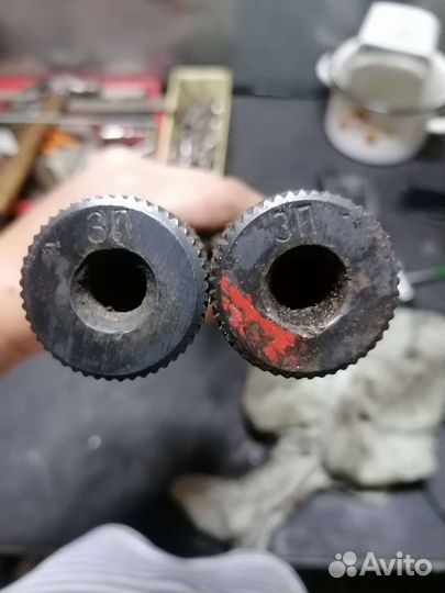 Тарсион на луаза