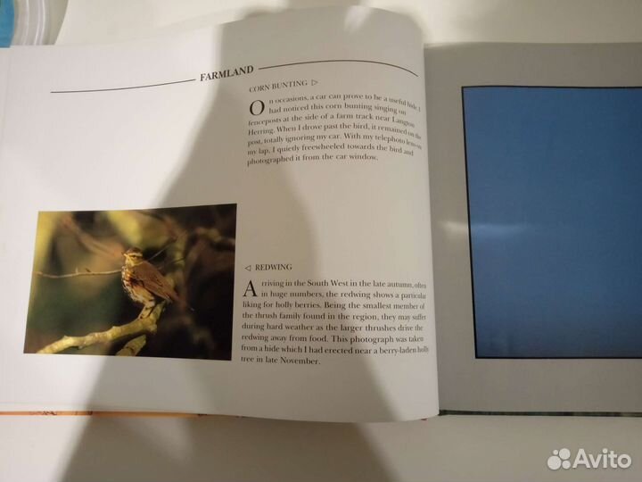 Wildlife in the West Country by Colin Varndell