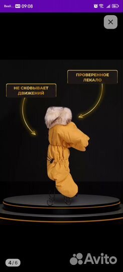 Комбинезон для собак мелких пород