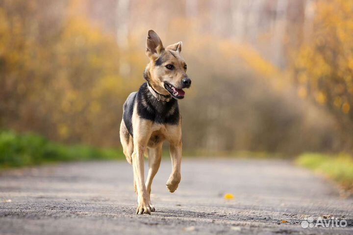 Малышка Аманда