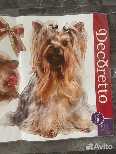 Йоркширский терьер