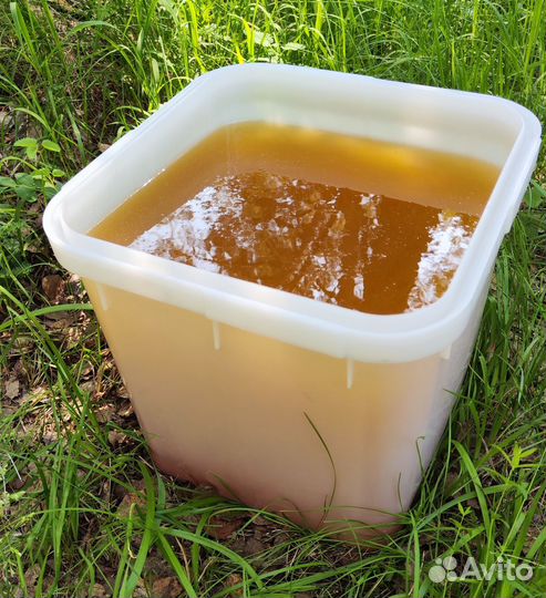 Опт. мед натуральный Алтайский от 16 кг