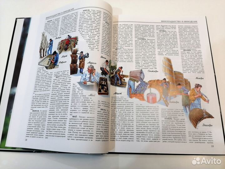 Мир вин. Вина мира