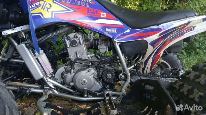 Abm scorpion 250b 177 nc