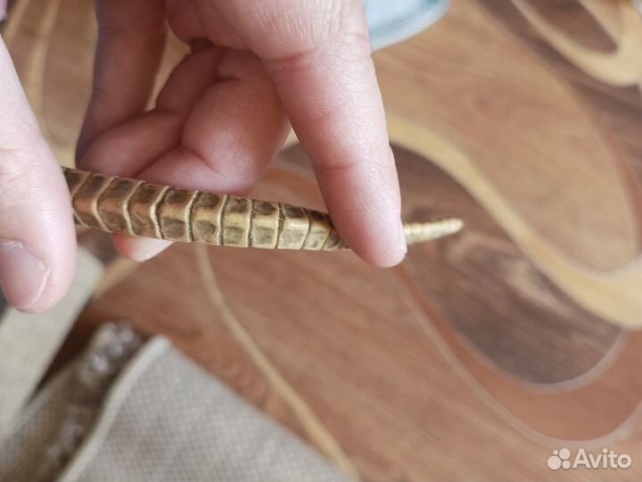 Коллекционное издание Aliens vs Predator