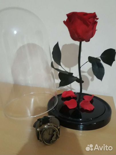 Роза в колбе. Подарок