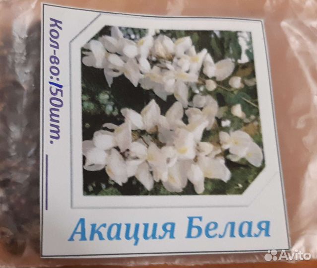 Семена Белая акация, Робиния