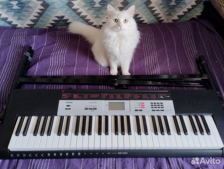 Цифровое пианино (синтезатор)
