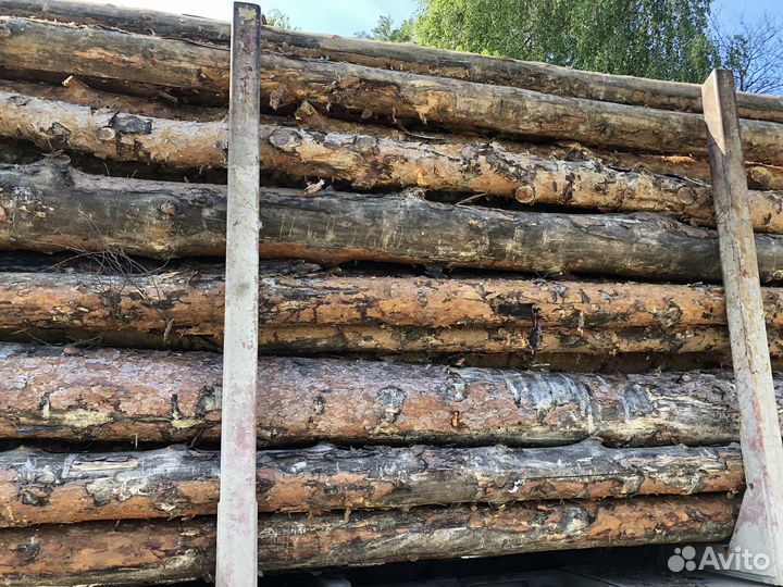 Лес кругляк пиловочник 2 сорт