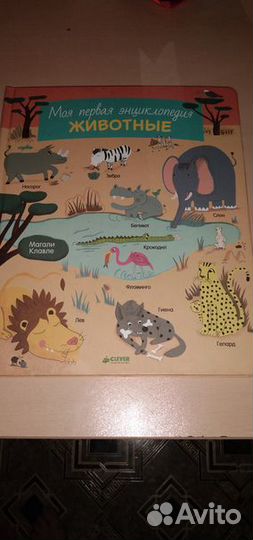 Энциклопедия -Найди и покажи