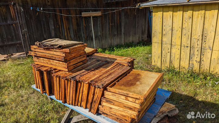 Продам ульи для пчел