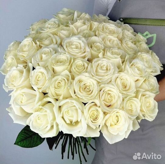 Высокие розы Гигантские розы 110