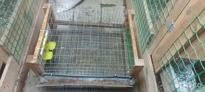 Клетки для перепелов бу