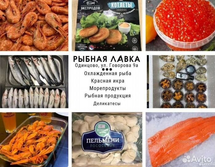 Ледяная рыба 250+
