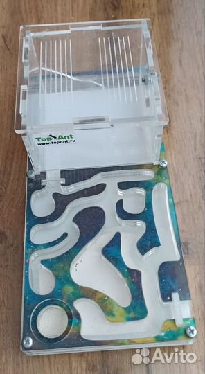 Муравьиная ферма antplanet