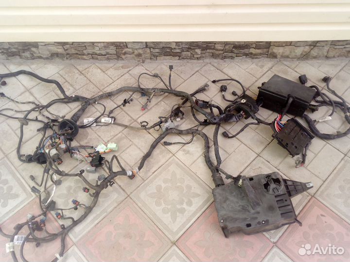 Проводка моторная Форд Фокус 3 Ford Focus III 2.0л