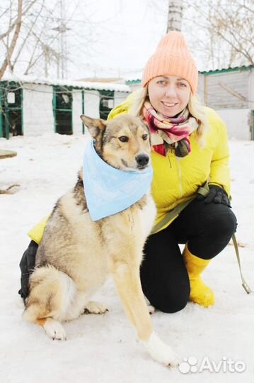 Мечтаю стать вам верным другом