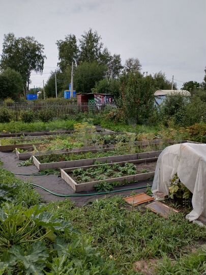 Участок 4,5 сот. (СНТ, ДНП)