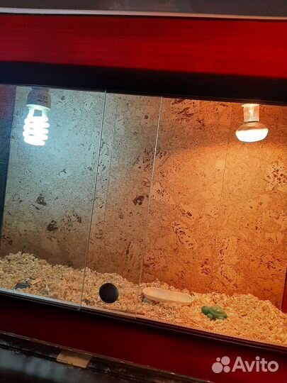 Террариум для сухопутной черепахи