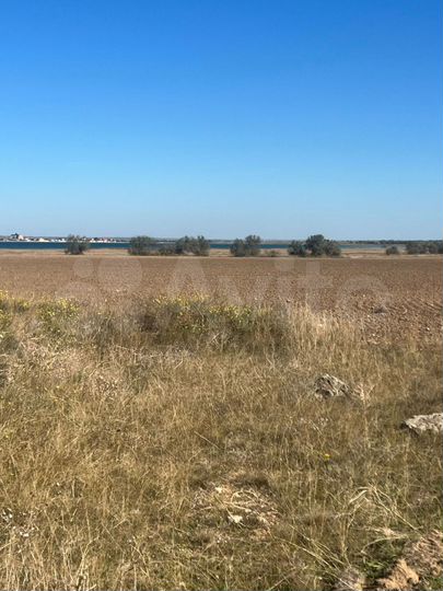 Участок 100 сот. (СНТ, ДНП)